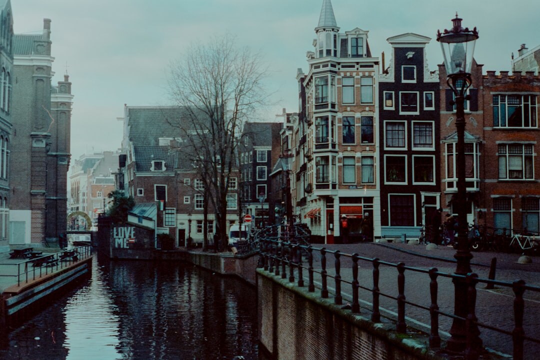 dutch mystery writer