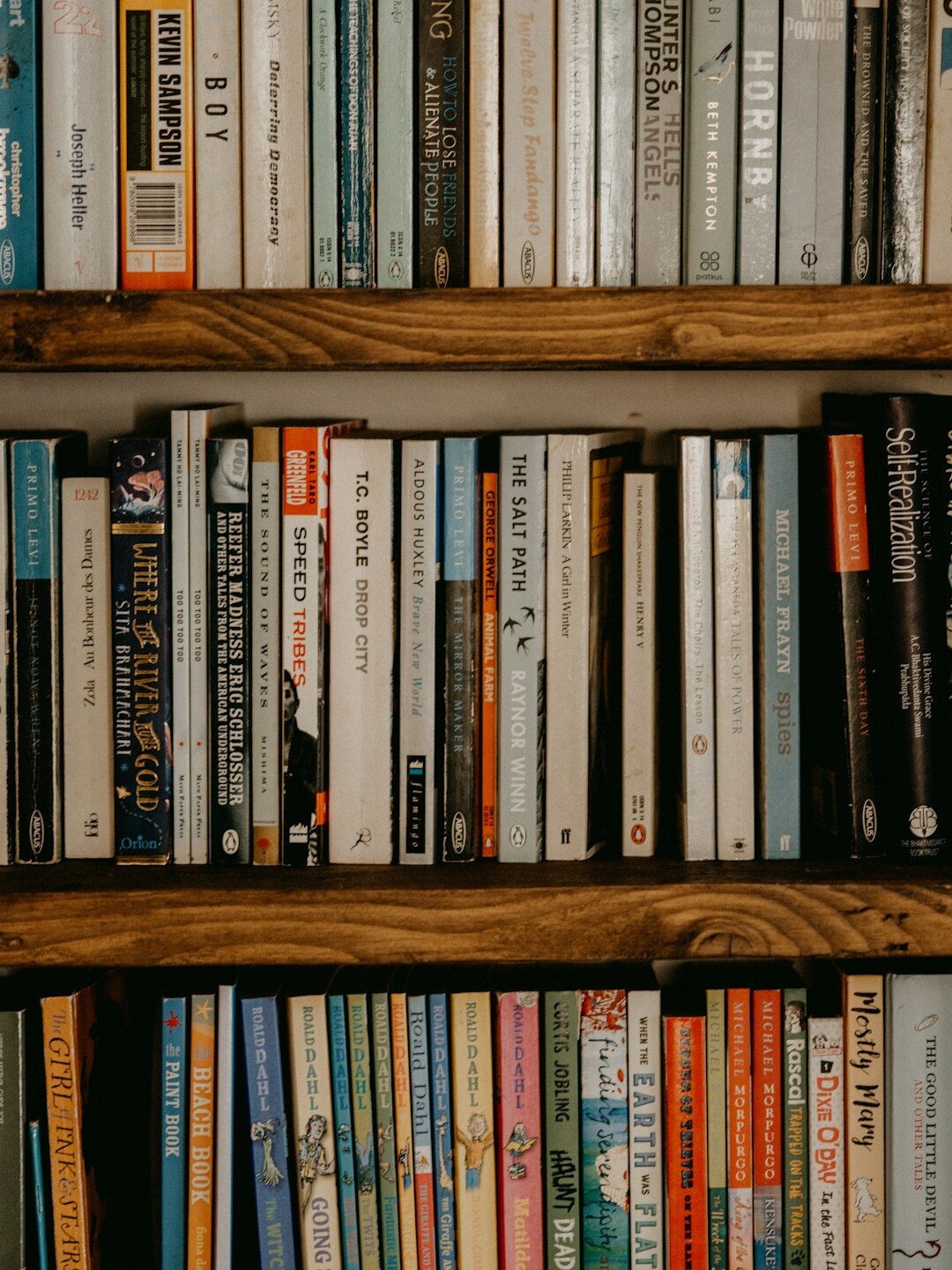 bookshelf with detective novels